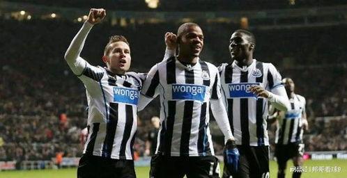 23-24赛季英超第15轮：埃弗顿VS纽卡斯尔联,客队一球小胜，巩固联赛排名”