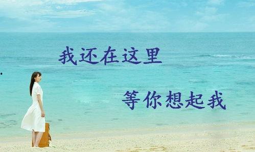 我在这里等你,我在此处静候你的归来