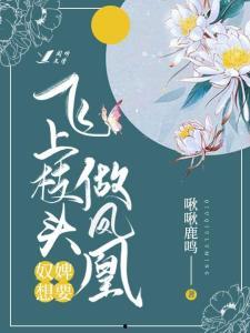 月上枝头做凤凰,千年传说里的神秘之光